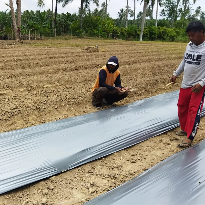 Film mulsa pertanian lanskap plastik hitam Ldpe mulsa gulungan kg penutup mulsa untuk tanah