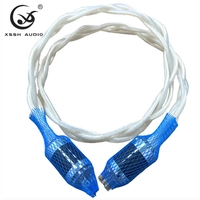 Câble d'extension d'alimentation CA audiophile HIFI YIVO XSSH, plaqué argent OCC OD24mm, US/EU, OEM ODM pour amplificateur, home cinéma, vente en gros