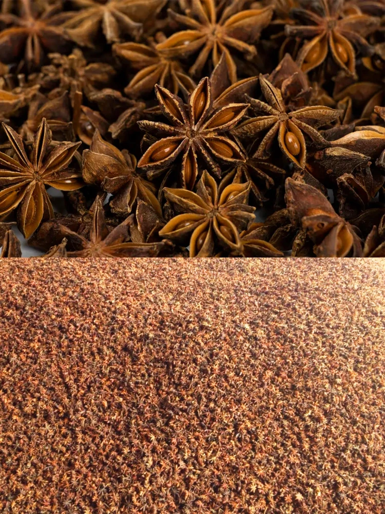 100g Premium Star Anise Premium spice seasoning Autumn aniseed from Guangxi, China