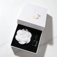 Diffuseur d'arômes Finru en pierre, ensemble d'huiles parfumées suspendues, fleur en céramique, désodorisant longue durée pour la maison et le placard, cadeau personnalisé avec logo