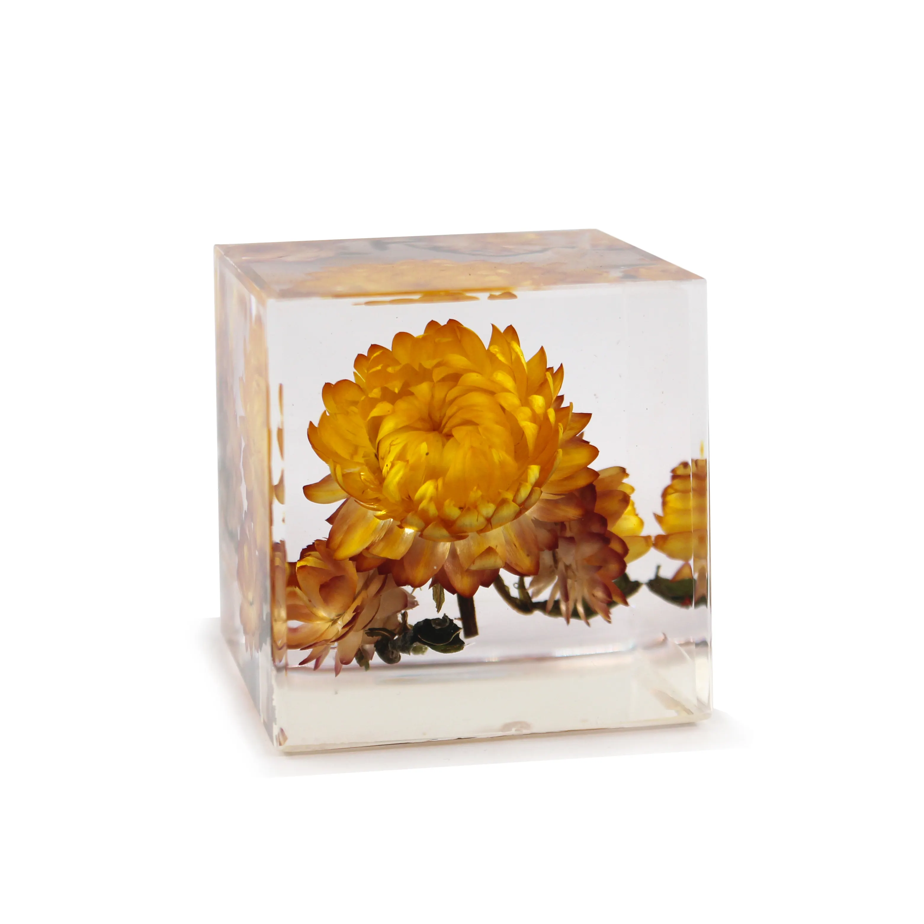 Preserved long lasting flowers in crystal ball arts and resin craft paperweight for home decor valentine days