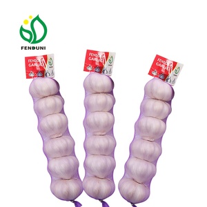 Frais chine <span class=keywords><strong>ail</strong></span> <span class=keywords><strong>d</strong></span>'<span class=keywords><strong>éléphant</strong></span> en 2019 nouvelle récolte - Product Image 6