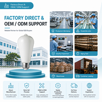 Ampoule LED à filament de verre E26 E27 ST19 ST58 à CRI 90, décorative et efficace, pour l'éclairage domestique, hôtelier et commercial