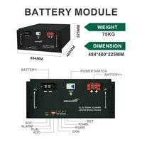 Batterie lithium-fer basse tension 51,2 V 200 Ah montée en rack, batterie de stockage d'énergie OEM / ODM