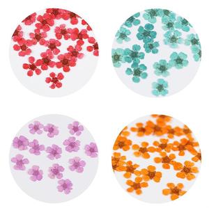 Vente d'usine 3D Real encapsulé Nail pressé fleurs <span class=keywords><strong>pour</strong></span> Nail Art <span class=keywords><strong>déco</strong></span> résine artisanat bricolage - Product Image 4