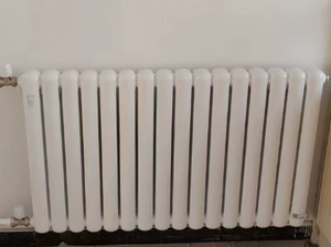<span class=keywords><strong>Radiateur</strong></span> <span class=keywords><strong>horizontal</strong></span> classique à colonnes, très vendu, pour chauffage professionnel à <span class=keywords><strong>eau</strong></span> <span class=keywords><strong>chaude</strong></span> - Product Image 5