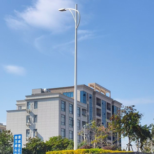 Üreticilerin Çift Kollu Alüminyum Sokak Aydınlatma Direği Yol Dış Mekan Lamba Direkleri 10FT 15FT 20FT 25FT 30FT 35FT 40FT - Product Image 5