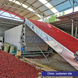 Máquina Secadora de Chiles de Alta Capacidad y Funcionamiento Continuo de 24 m, Máquina para Secar Pimientos - Product Image 3