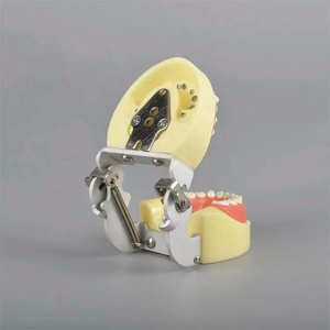 Modèle standard d'enfant dentaire pédiatrique pour le remplacement d'étudiant 24pcs dent - Product Image 6