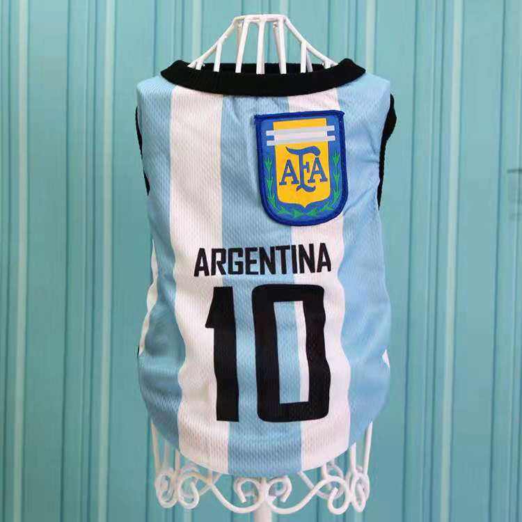 Maillot argentin n°10 blanc et bleu