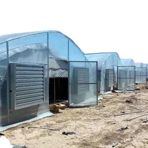 Efecto invernadero diseño para el cultivo de hongos - Product Image 1