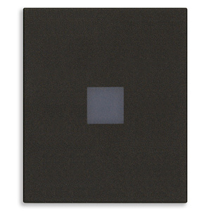<b>Push</b> <b>Button</b> <b>Switch</b> 2M Black Axial Diffuser 10 In Length 7.5 In Width 0.8 In Height - Product Image 1
