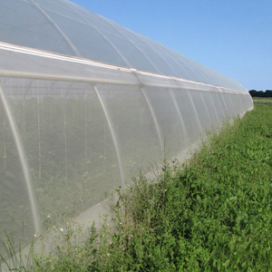 Filet anti-insectes SONA NET 50x24 mailles, protection UV 5 ans, en HDPE tricoté 125 g/m², transparent/blanc, pour serres et nichoirs - Product Image 1