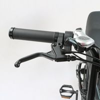 Vélo électrique ODM 48V 500W 7 vitesses, frein à disque, pneus larges 20 pouces, suspension, batterie au lithium, vélo Harley