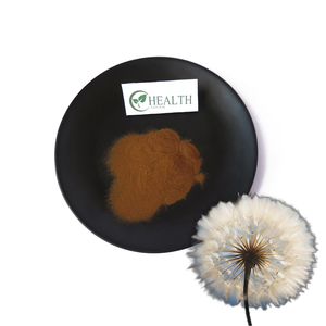 根エキスローストタンポポ根粉末<span class=keywords><strong>100</strong></span>% 純粋植物有機ローストタンポポ - Product Image 4