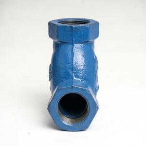 Filtre de protection de pipeline industriel en fonte de type Y, classe 150, à brides et fileté - Product Image 4