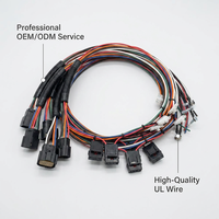 Arnés de Cableado Personalizado, Conector Macho-Hembra Multipin, Ensamblaje de Cables con Malla Protectora Corrugada, Cable Trenzado Multicolor