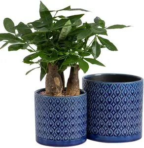 Home Garden Living Room Indoor Outdoor Custom Tray Decor Modern Nordic Succulent Flower Pot Ceramic Planter Pots