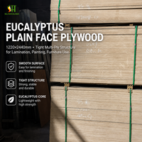 Panneau de contreplaqué en eucalyptus massif brut pour emballage, coffrage béton, sous-plancher, WBP, étanche, MR