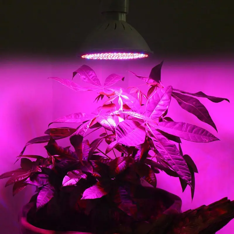 I nuovi prodotti all'ingrosso coltivano la luce ha condotto le piante d'appartamento del fiore coltiva la lampadina ha condotto la luce crescente principale per la crescita delle piante mediche