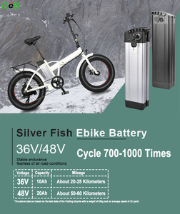 Elektrikli Bisiklet için Gümüş Balık Pil 18650 21700 Pil Şarj Edilebilir Lityum E Bisiklet 24V 36V 48V 10ah 15ah 20ah Pil Paketi - Product Image 5