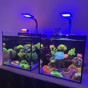 Lámpara LED Plana A.S. Smart de 12W/24W para Acuarios Marinos y Nano Acuarios, 3 Opciones de Color, Control de Intensidad, Caja Metálica - Product Image 2