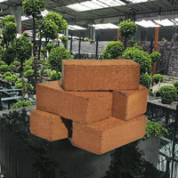 Kopeat Export Briquettes de tourbe de coco compressées 100% biologiques, écologiques, pour grandes serres agricoles