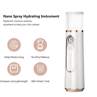 Vaporisateur Facial Portable Électrique Mini à Technologie Nano, Brume Rechargeable USB pour Usage Domestique et Extérieur