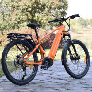 <span class=keywords><strong>Vélo</strong></span> <span class=keywords><strong>électrique</strong></span> quatre saisons <span class=keywords><strong>Vélo</strong></span> <span class=keywords><strong>électrique</strong></span> de montagne entièrement <span class=keywords><strong>suspendu</strong></span> à affichage LED de haute qualité - Product Image 6