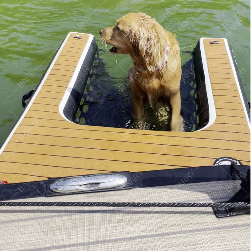 Barry Factory Price Swim Ladder for