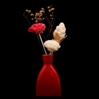 Diffuseur à roseaux en bois L868 pour la maison, fleurs décoratives et aromathérapie, fleur de sola