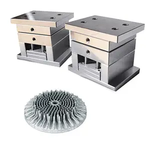 Die Cast Oem Customized Service Precision Lighting Heat Sink Metal Aluminum Alloy Die Casting Mold