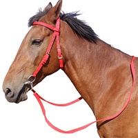 Halter cheval en nylon conçu sur mesure pour bride équestre et de course