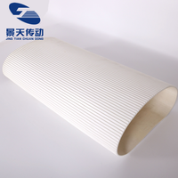 Bande transporteuse en PVC blanc Triangle Washboard Pattern Jingtian Brand 1 an de garantie pour le traitement des aliments pour poulet à convoyeur incliné