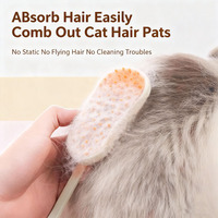 Nouvelle brosse de toilettage pour animaux de compagnie pliable 3 en 1 en silicone, autonettoyante, rechargeable, portable, avec pulvérisation d'eau et vapeur pour chats