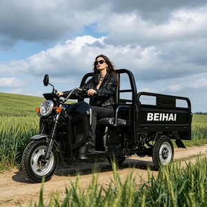 2026 BEIHAI Three Wheeled Supercar Cheap Mini 60V 2000W Scooter 3 Wheel <b>Passenger</b> Tricycles for Adults - Product Image 3
