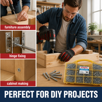 Panpal – Lot de 780 vis autotaraudeuses à tête fraisée pour bois, galvanisées argentées, avec boîte à outils polyvalente pour la construction et le bricolage