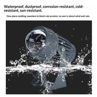 10W Aluminium IP65 LED Projecteur Coloré 12V Haute Luminosité Étroite Angle de Faisceau Projecteurs pour Bâtiment Décoration et Jardin
