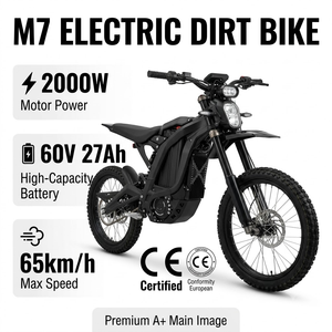 Motocicleta Eléctrica Todoterreno con Motor Central sin Escobillas de 2000W, Batería de Litio de 60V y 65km/h, Disponible en Nuestro Almacén de EE. UU. - Product Image 1