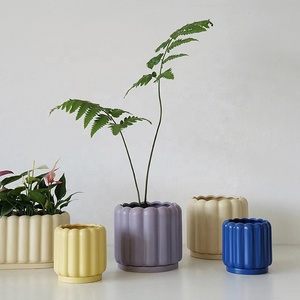 <strong>Pot</strong> Plants - Product Image 6