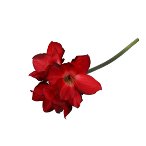 Fleur artificielle Amaryllis en soie, décoration florale pour salon, événements extérieurs, mariages, décoration douce - Product Image 5