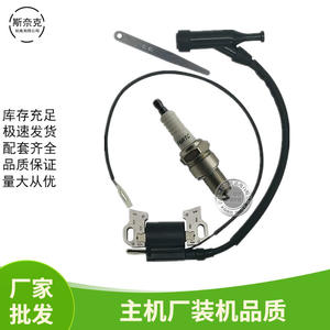 Kit de bobines d'allumage haute tension 13 pour moteur à essence GX160 200 390 420 5.5 6.5HP 168F170F Modèles pour machines agricoles - Product Image 4