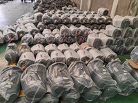 Pour SEMC WEG pour ABB TECO siemens Regal Rexnord Vem Marathon Leeson moteur à Induction triphasé moteur électrique 100hp 150hp 200hp