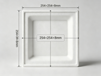 Assiette carrée jetable en pulpe moulée pour gâteau