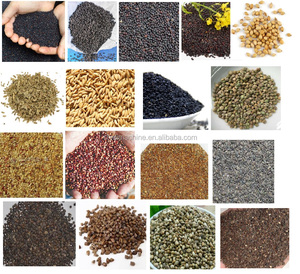 <span class=keywords><strong>Sembradora</strong></span> y Trasplantadora de Maíz Ligera para Pequeñas Granjas, Alta Productividad, con Espaciado de Filas Ajustable, Fácil Mantenimiento - Product Image 6