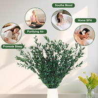 Liviflo Feuilles d'Eucalyptus Cinerea Naturelles Préservées, Feuilles Séchées 'Silver Dollar' avec Préservation à la Glycérine, pour Décoration Éternelle Maison et Mariage