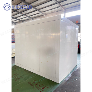 Phòng lạnh bảo quản thực phẩm đặt làm riêng, tủ đông đi bộ dành cho cửa hàng tạp hóa, nhà máy chế biến thịt và kho chứa nông sản tươi sống - Product Image 5