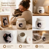 Urna Funeraria de Cerámica Artesanal de Lujo Moderna al por Mayor con Junta de Silicona para Cenizas de Perros y Gatos, Precio de Fábrica Personalizado, Ataúd Conmemorativo
