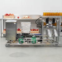 Mini fruit sap productielijn, kleine mango verwerkingsmachine, commerciële SS304, op maat gemaakte OEM fabrieksverkoop