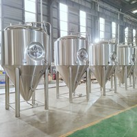 Fournisseur chinois de bière TEKBREW 1000L Unitanks isobares en acier inoxydable 1000L à vendre